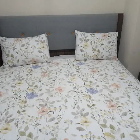 Wafa Sleeping In Homestay *