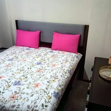 Wafa Sleeping In Homestay