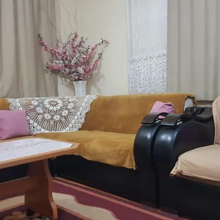 Wafa Sleeping In Homestay Antalya
