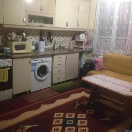 Wafa Sleeping In Homestay Antalya